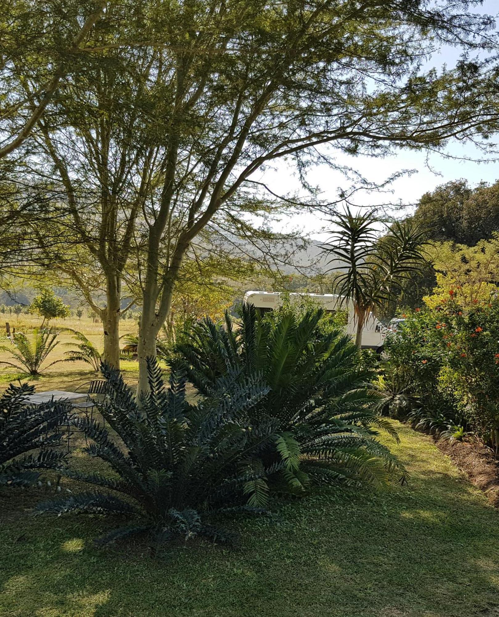 Kiaat Bungalows Hazyview Exterior foto